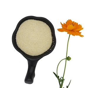 Hot Sale Edible Gelatin Powder 250bloom halal grade